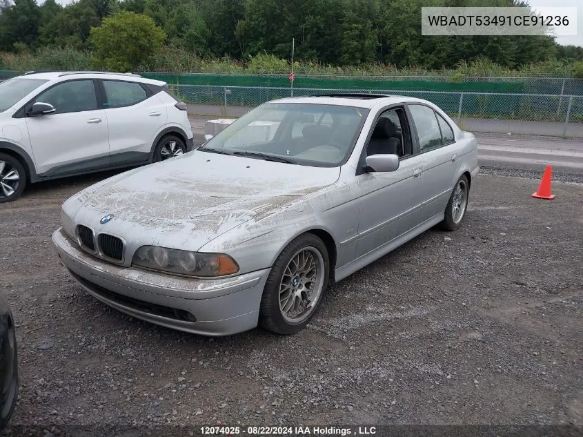 2001 BMW 5 Series VIN: WBADT53491CE91236 Lot: 12074025