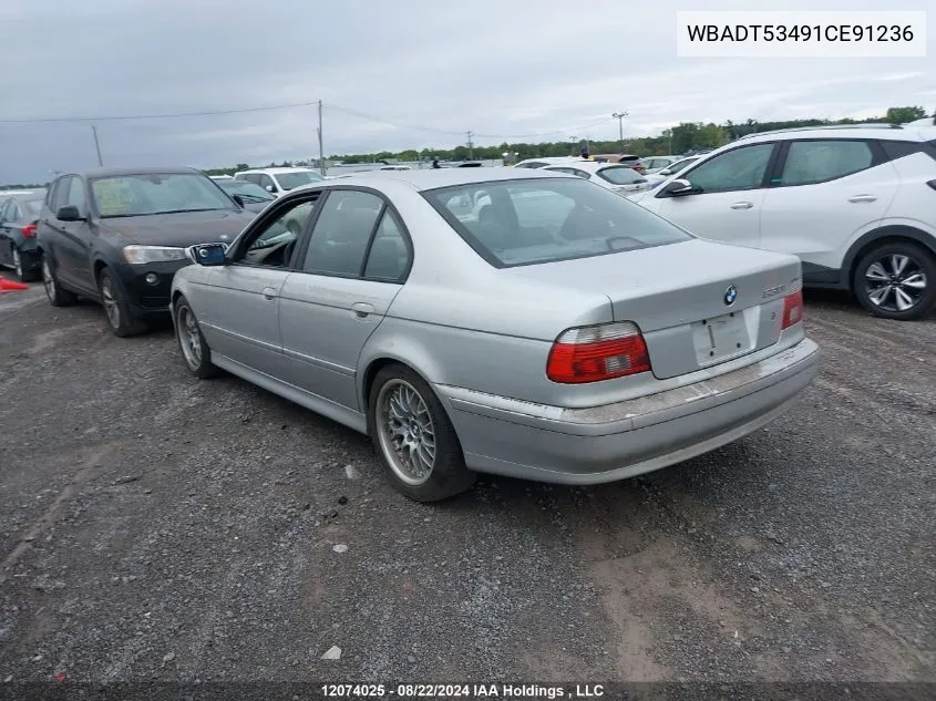 2001 BMW 5 Series VIN: WBADT53491CE91236 Lot: 12074025