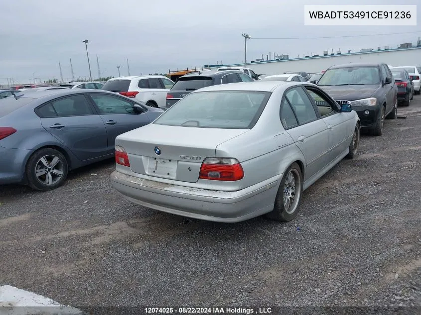 2001 BMW 5 Series VIN: WBADT53491CE91236 Lot: 12074025