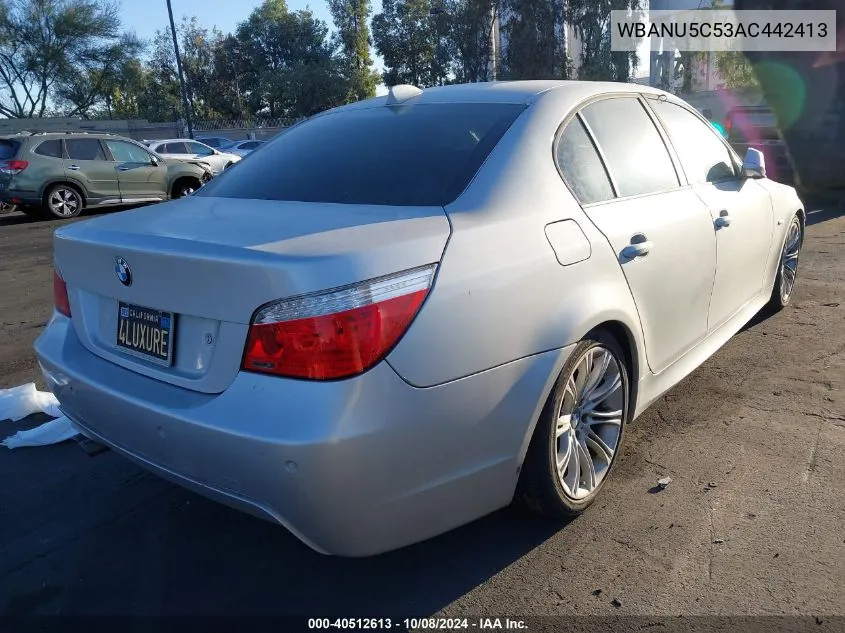 2010 BMW 528 I VIN: WBANU5C53AC442413 Lot: 40512613