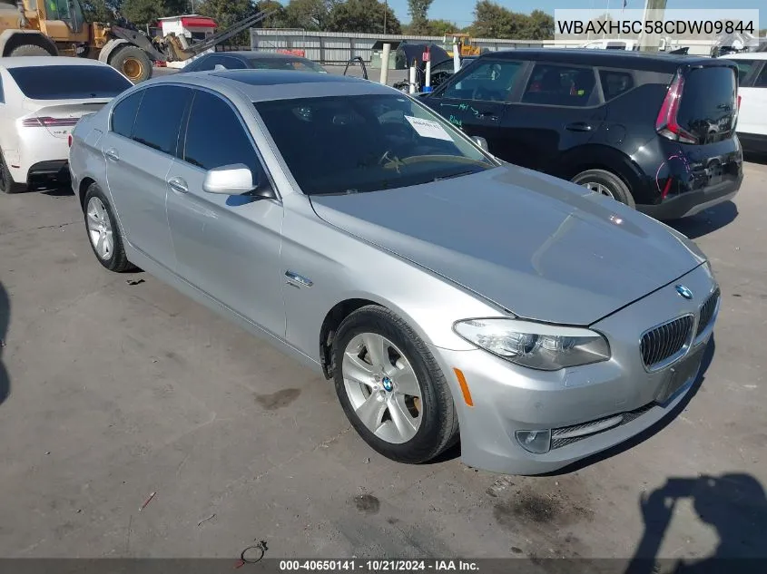 2012 BMW 528I xDrive VIN: WBAXH5C58CDW09844 Lot: 40650141