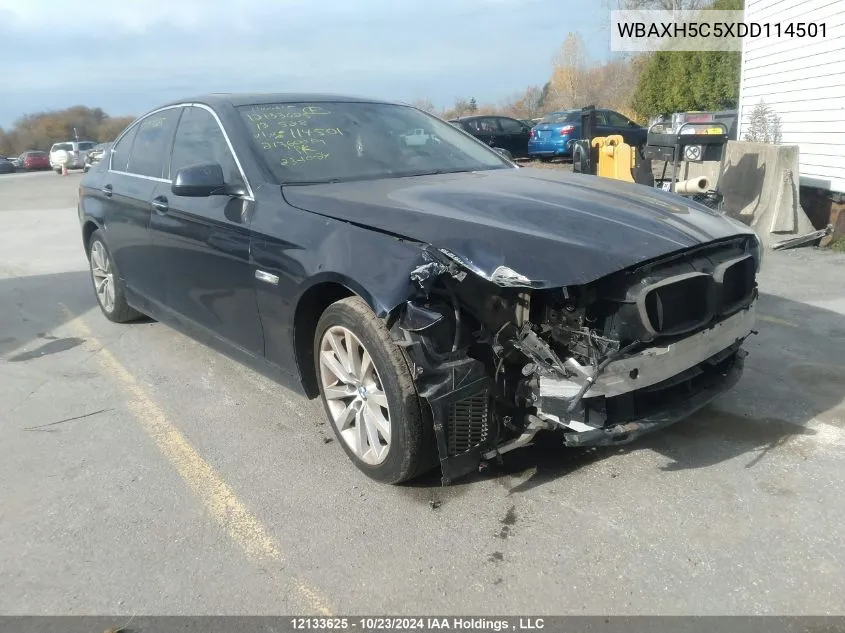 2013 BMW 5 Series VIN: WBAXH5C5XDD114501 Lot: 12133625