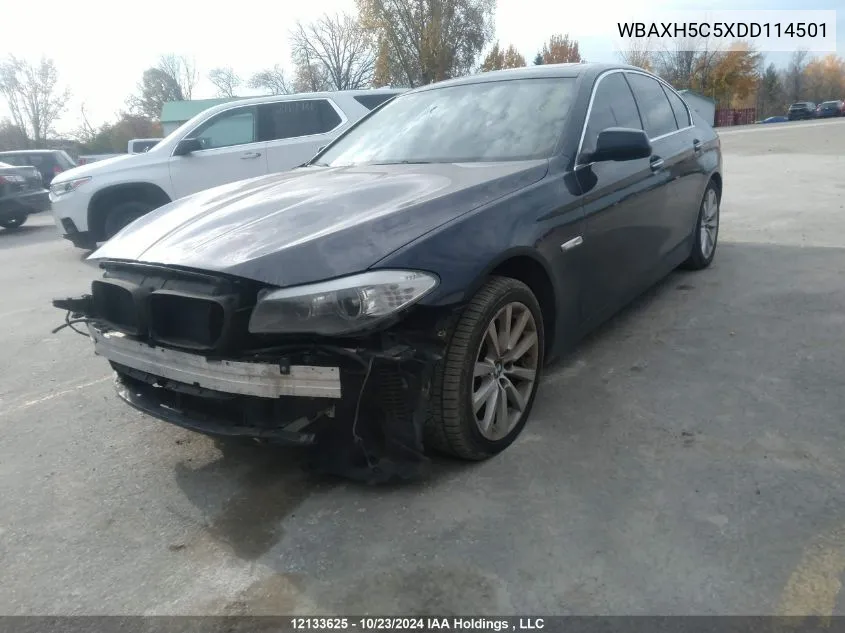 2013 BMW 5 Series VIN: WBAXH5C5XDD114501 Lot: 12133625