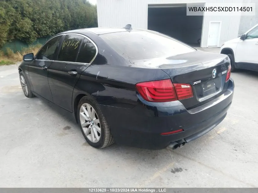 2013 BMW 5 Series VIN: WBAXH5C5XDD114501 Lot: 12133625