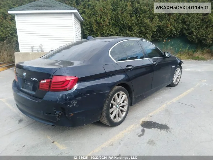 2013 BMW 5 Series VIN: WBAXH5C5XDD114501 Lot: 12133625