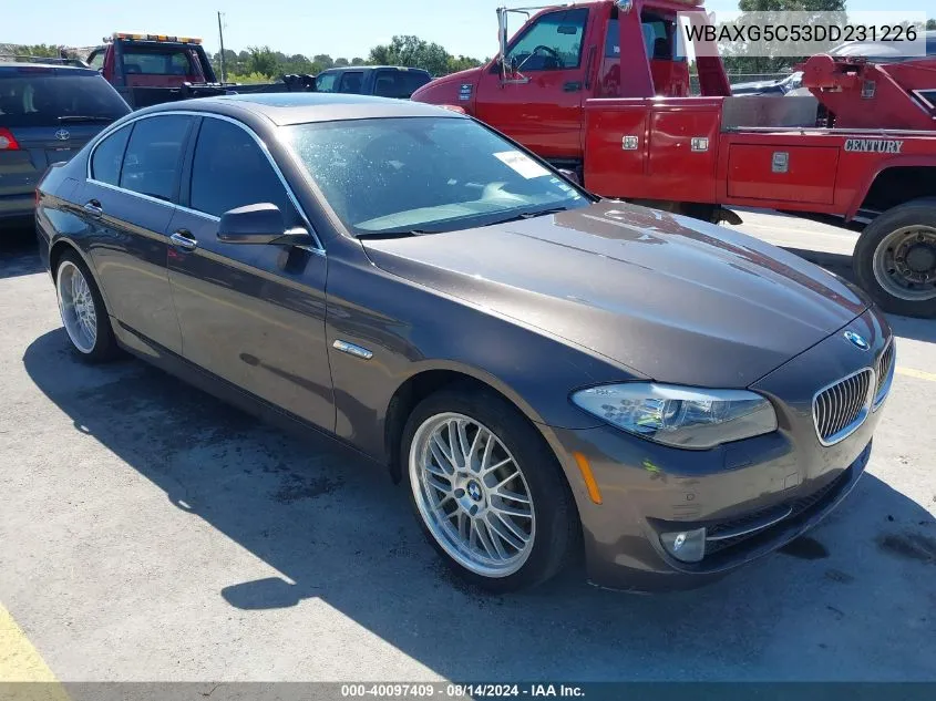 WBAXG5C53DD231226 2013 BMW 528I