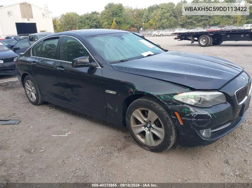 2013 BMW 528I Xi VIN: WBAXH5C59DD113422 Lot: 40375955