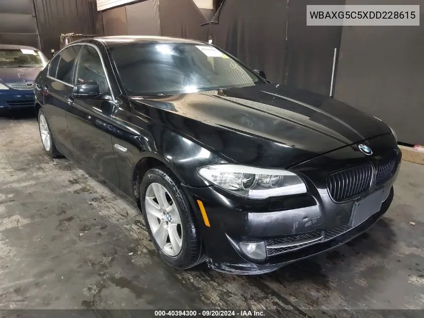 2013 BMW 528I VIN: WBAXG5C5XDD228615 Lot: 40394300