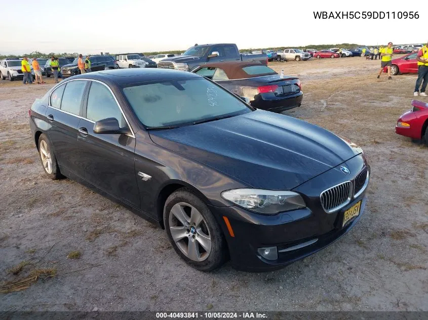 2013 BMW 528 Xi VIN: WBAXH5C59DD110956 Lot: 40493841