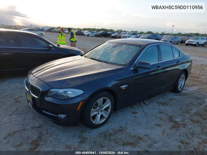 2013 BMW 528 Xi VIN: WBAXH5C59DD110956 Lot: 40493841