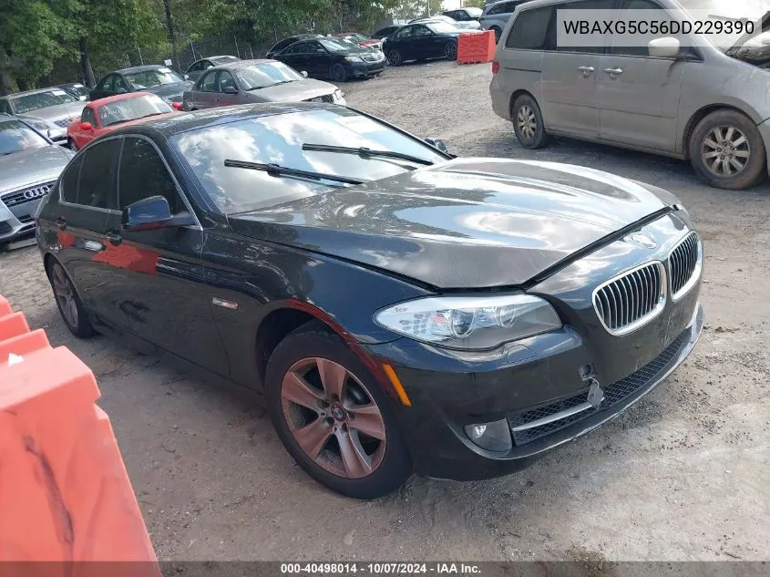 2013 BMW 528 I VIN: WBAXG5C56DD229390 Lot: 40498014