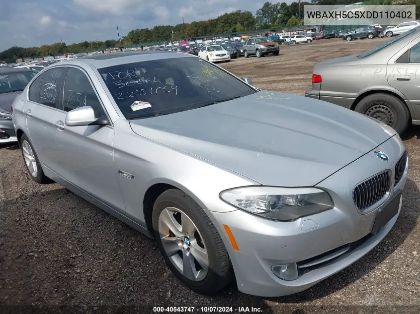 2013 BMW 528I xDrive VIN: WBAXH5C5XDD110402 Lot: 40543747