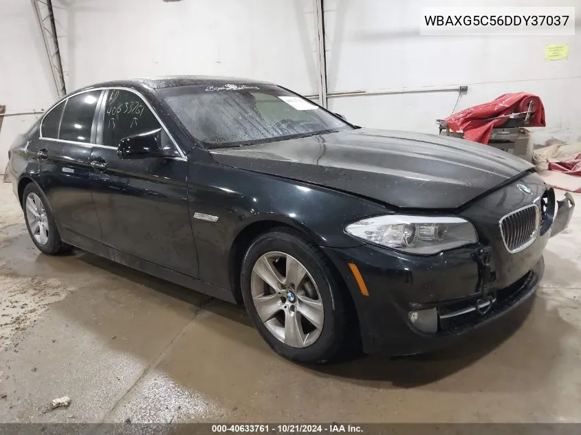 2013 BMW 528I VIN: WBAXG5C56DDY37037 Lot: 40633761