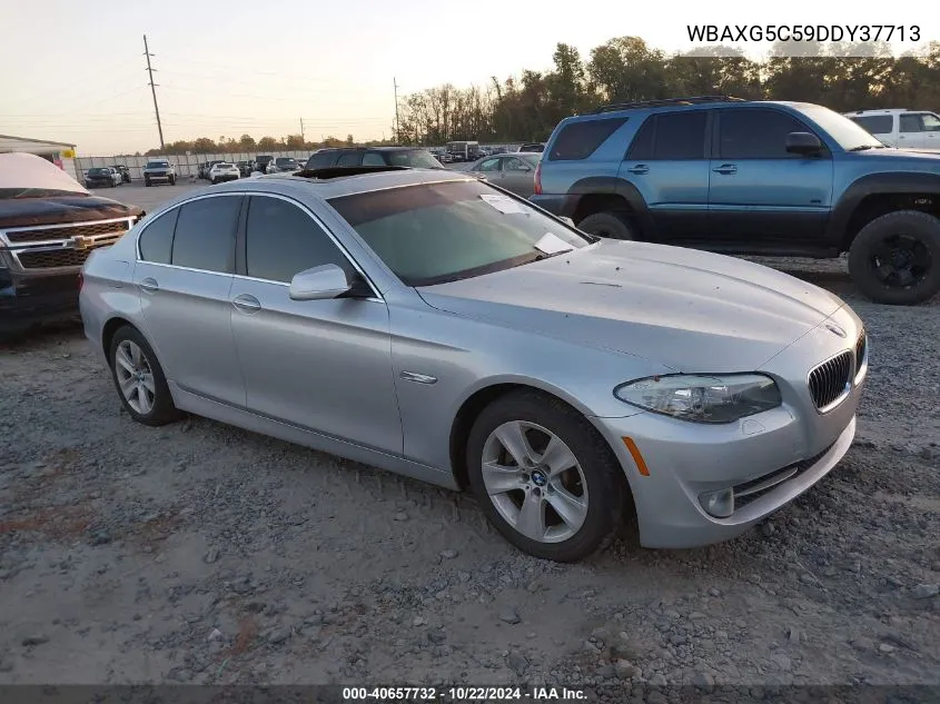 2013 BMW 528I VIN: WBAXG5C59DDY37713 Lot: 40657732