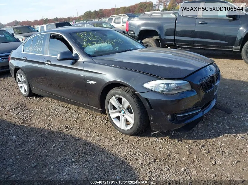 2013 BMW 528I xDrive VIN: WBAXH5C5XDD106544 Lot: 40721781