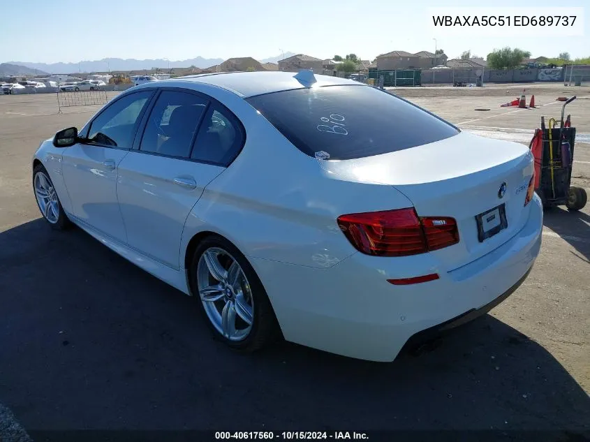 WBAXA5C51ED689737 2014 BMW 535D