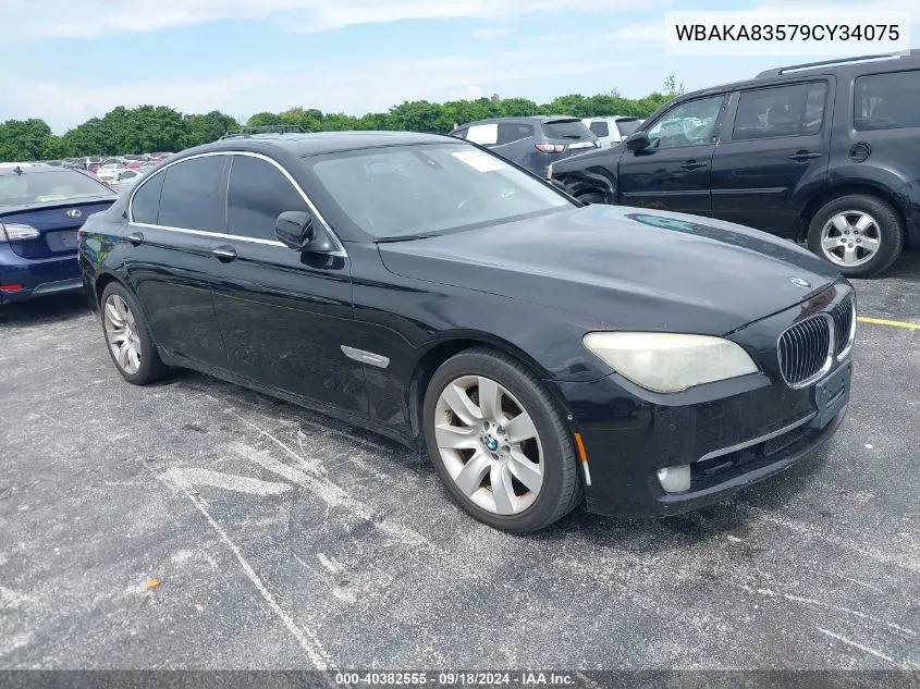 WBAKA83579CY34075 2009 BMW 750I