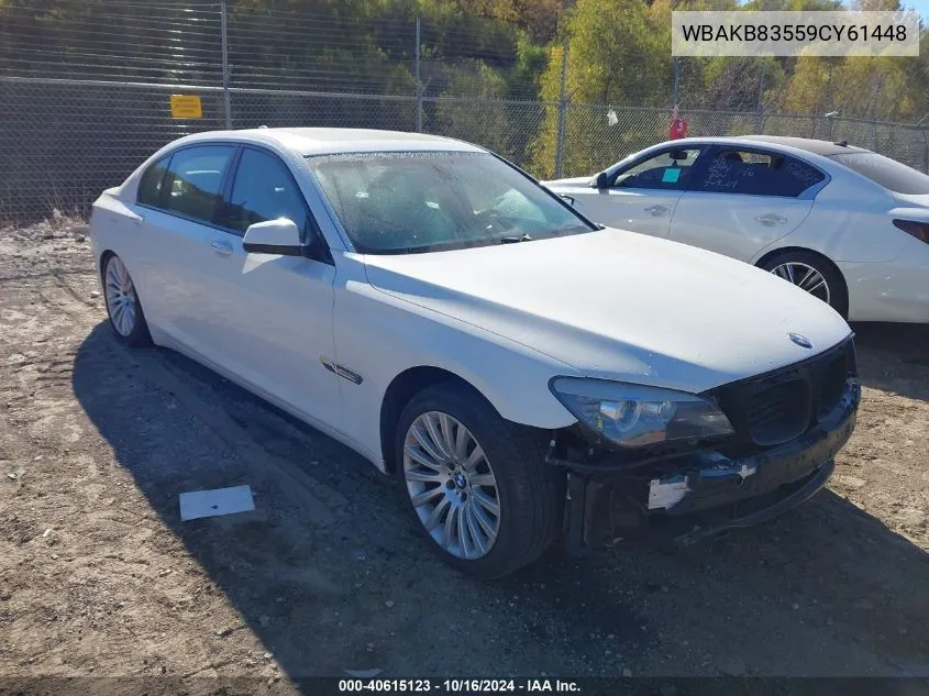 2009 BMW 750Li VIN: WBAKB83559CY61448 Lot: 40615123