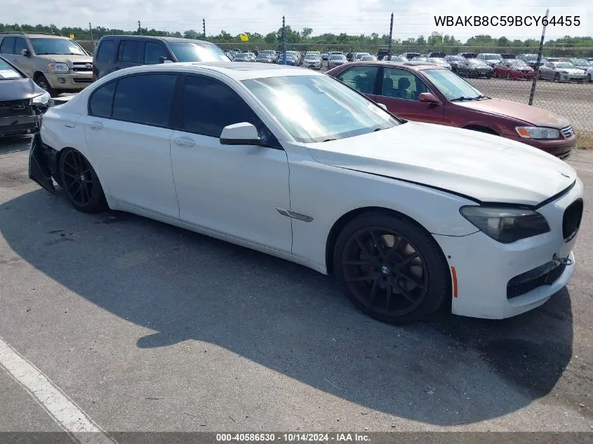 2011 BMW 750Li VIN: WBAKB8C59BCY64455 Lot: 40586530