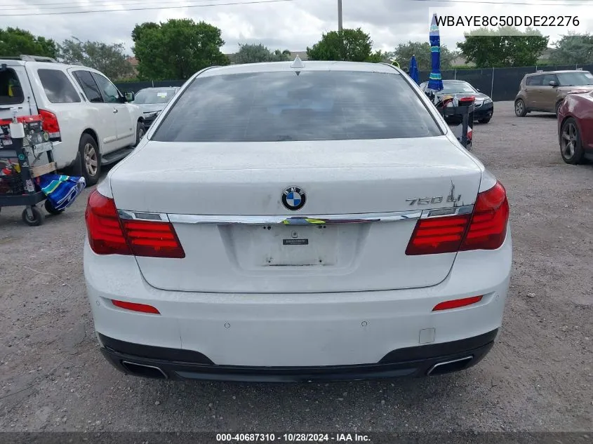 2013 BMW 750Li VIN: WBAYE8C50DDE22276 Lot: 40687310