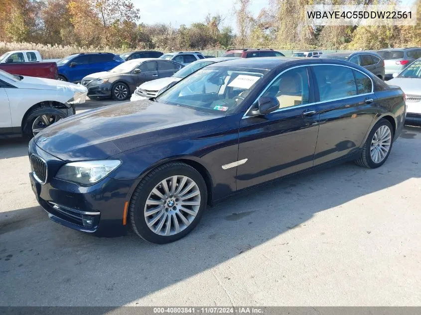 2013 BMW 740Li VIN: WBAYE4C55DDW22561 Lot: 40803841