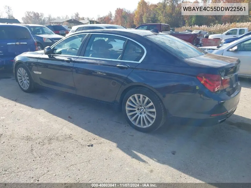 2013 BMW 740Li VIN: WBAYE4C55DDW22561 Lot: 40803841