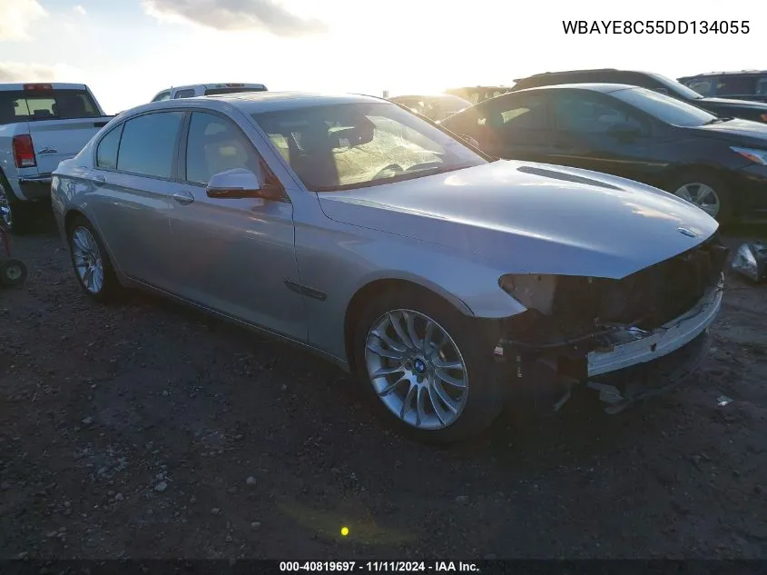 2013 BMW 750Li VIN: WBAYE8C55DD134055 Lot: 40819697