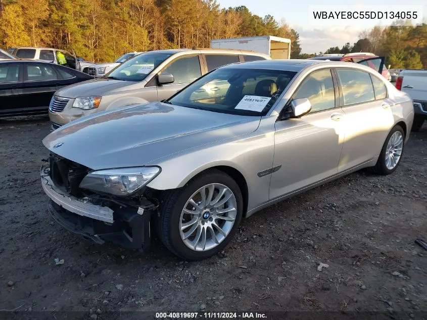 2013 BMW 750Li VIN: WBAYE8C55DD134055 Lot: 40819697