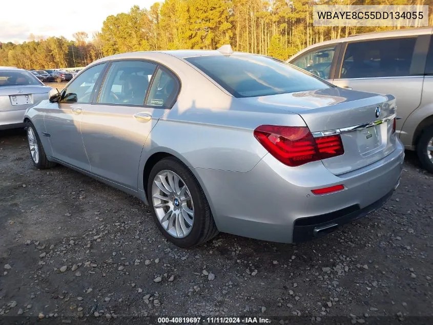 2013 BMW 750Li VIN: WBAYE8C55DD134055 Lot: 40819697