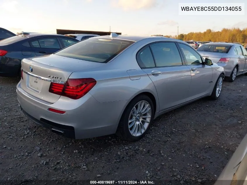 2013 BMW 750Li VIN: WBAYE8C55DD134055 Lot: 40819697