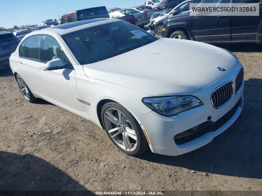 2013 BMW 750Li VIN: WBAYE8C59DD132843 Lot: 40848048