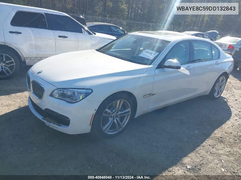 2013 BMW 750Li VIN: WBAYE8C59DD132843 Lot: 40848048