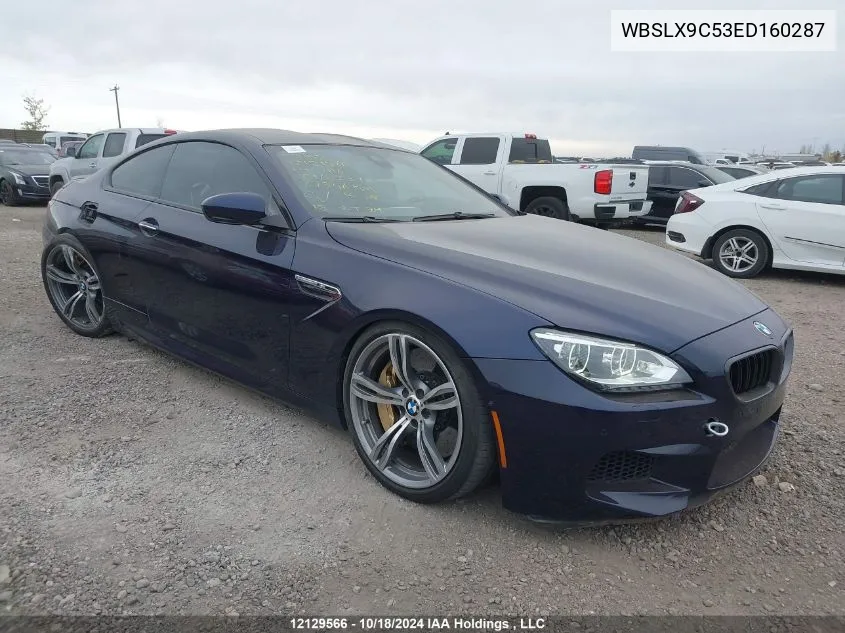 2014 BMW M6 VIN: WBSLX9C53ED160287 Lot: 12129566