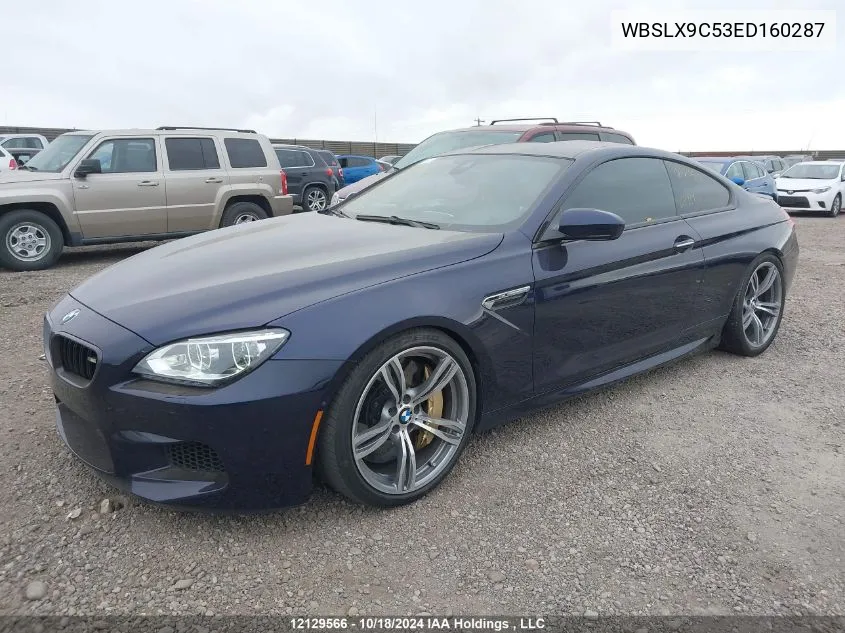 2014 BMW M6 VIN: WBSLX9C53ED160287 Lot: 12129566