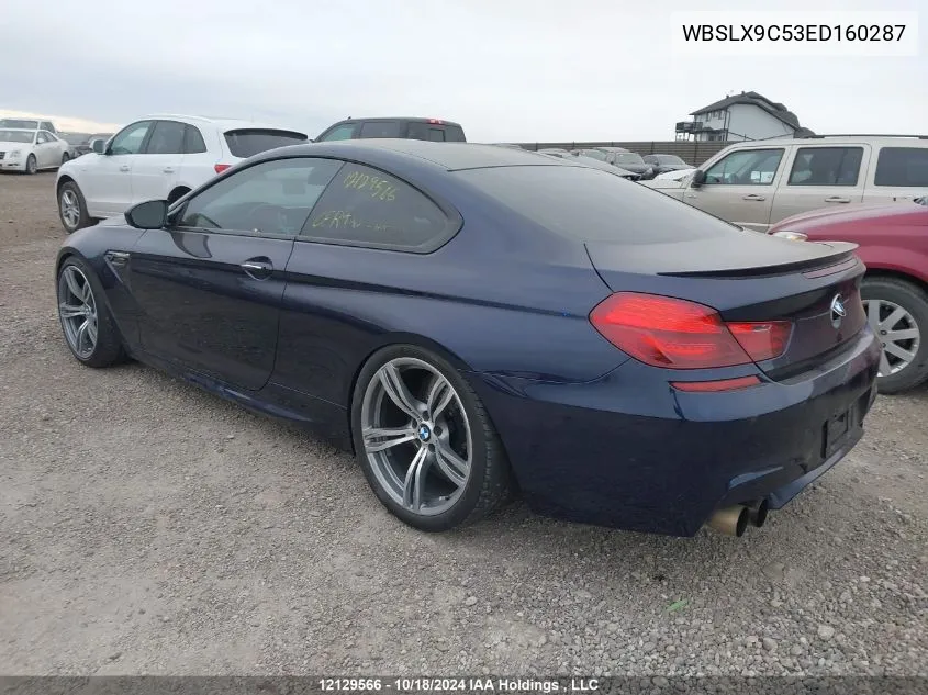 2014 BMW M6 VIN: WBSLX9C53ED160287 Lot: 12129566