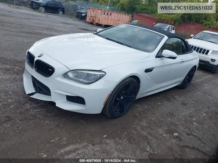 2014 BMW M6 VIN: WBSLZ9C51ED651032 Lot: 40579005