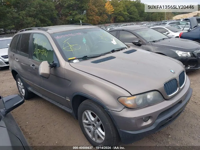 2005 BMW X5 3.0I VIN: 5UXFA13565LY20446 Lot: 40588637