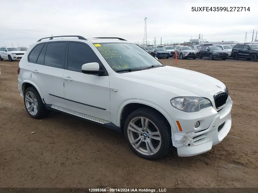 2009 BMW X5 xDrive30I VIN: 5UXFE43599L272714 Lot: 12099366