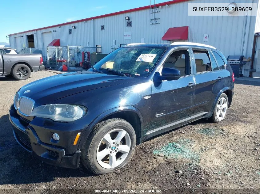 2009 BMW X5 xDrive48I VIN: 5UXFE83529L309609 Lot: 40413405