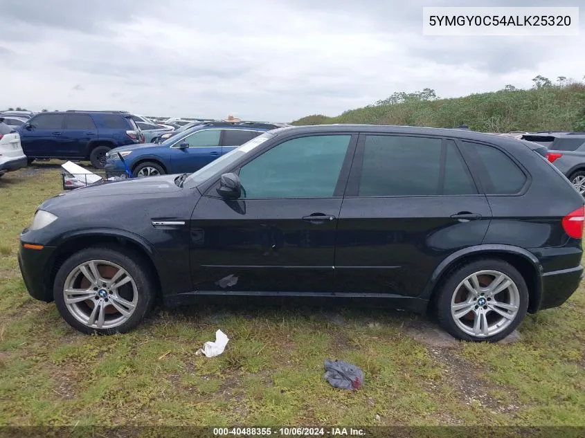 2010 BMW X5 M VIN: 5YMGY0C54ALK25320 Lot: 40488355