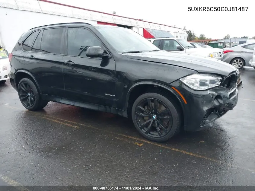 2016 BMW X5 xDrive50I VIN: 5UXKR6C50G0J81487 Lot: 40755174