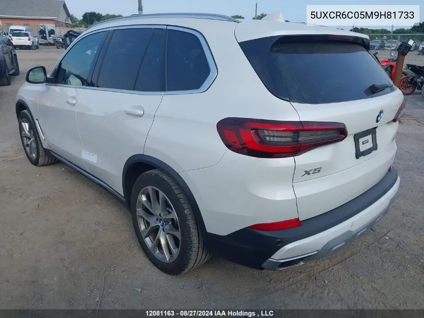 2021 BMW X5 xDrive40I VIN: 5UXCR6C05M9H81733 Lot: 12081163