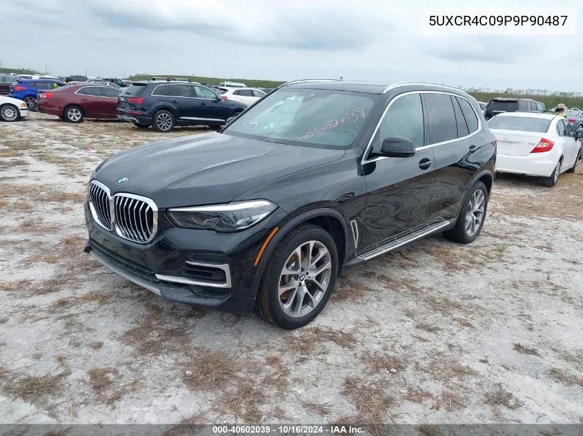 2023 BMW X5 Sdrive40I VIN: 5UXCR4C09P9P90487 Lot: 40602039