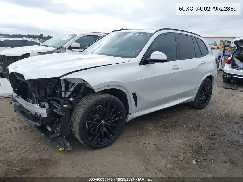 2023 BMW X5 Sdrive40I VIN: 5UXCR4C02P9R22389 Lot: 40695946