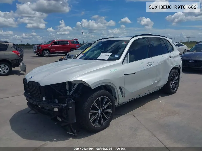 2024 BMW X5 Sdrive40I VIN: 5UX13EU01R9T61666 Lot: 40134604