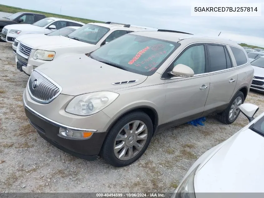 2011 Buick Enclave Cxl VIN: 5GAKRCED7BJ257814 Lot: 40494599