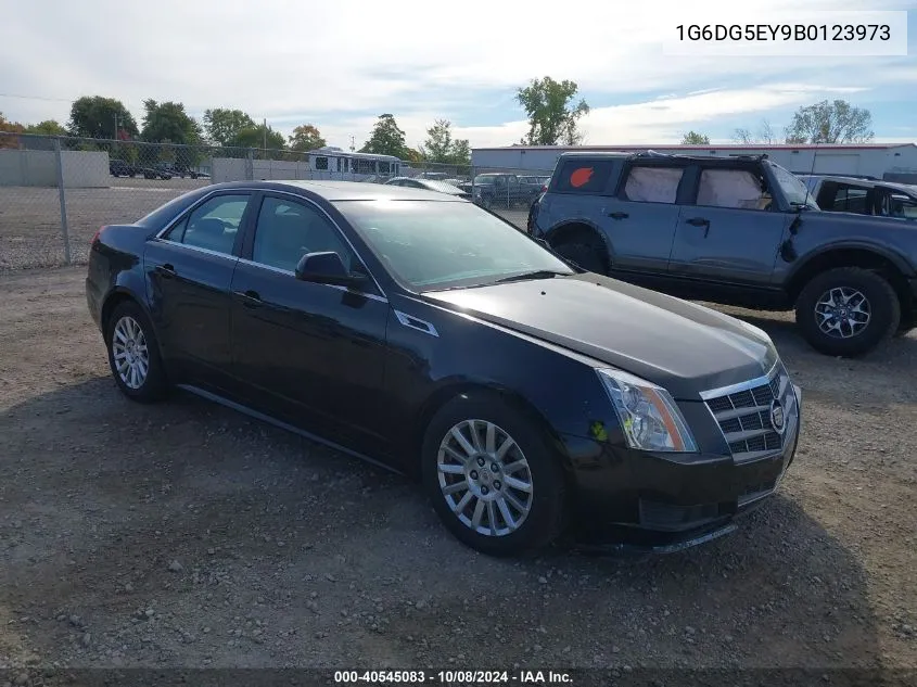 2011 Cadillac Cts Luxury Collection VIN: 1G6DG5EY9B0123973 Lot: 40545083