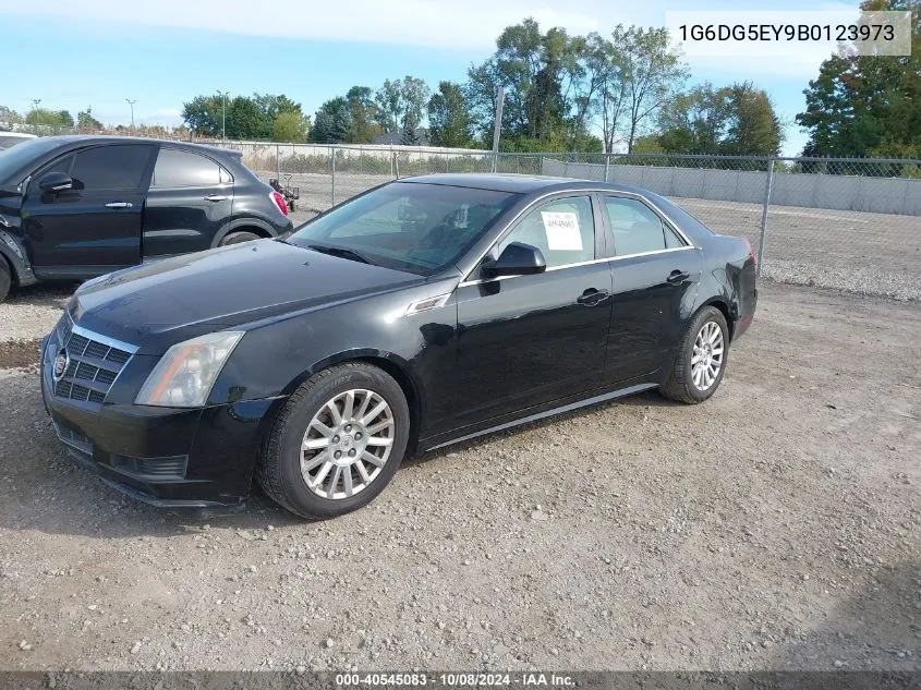 2011 Cadillac Cts Luxury Collection VIN: 1G6DG5EY9B0123973 Lot: 40545083