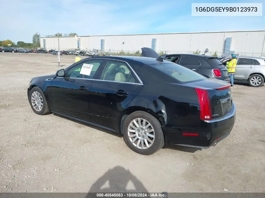 2011 Cadillac Cts Luxury Collection VIN: 1G6DG5EY9B0123973 Lot: 40545083