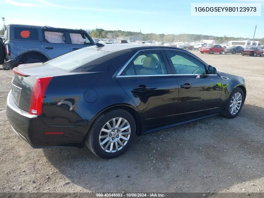 2011 Cadillac Cts Luxury Collection VIN: 1G6DG5EY9B0123973 Lot: 40545083